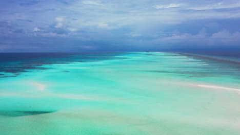 hermoso arrecife de coral cerca de las bahamas