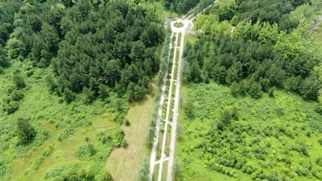 endless pathway surrounded by wild nature in park of tskaltubo, aerial view