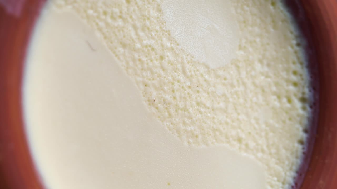 Close-up of Yogurt or Dahi