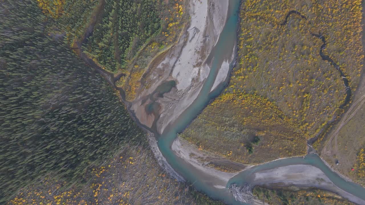 상록색 나무 와 노란색 잎 을 가진 낙 ⁇  나무 로 가득 찬 숲 을 가로질러 흐르는 강 의 조류 의 시선