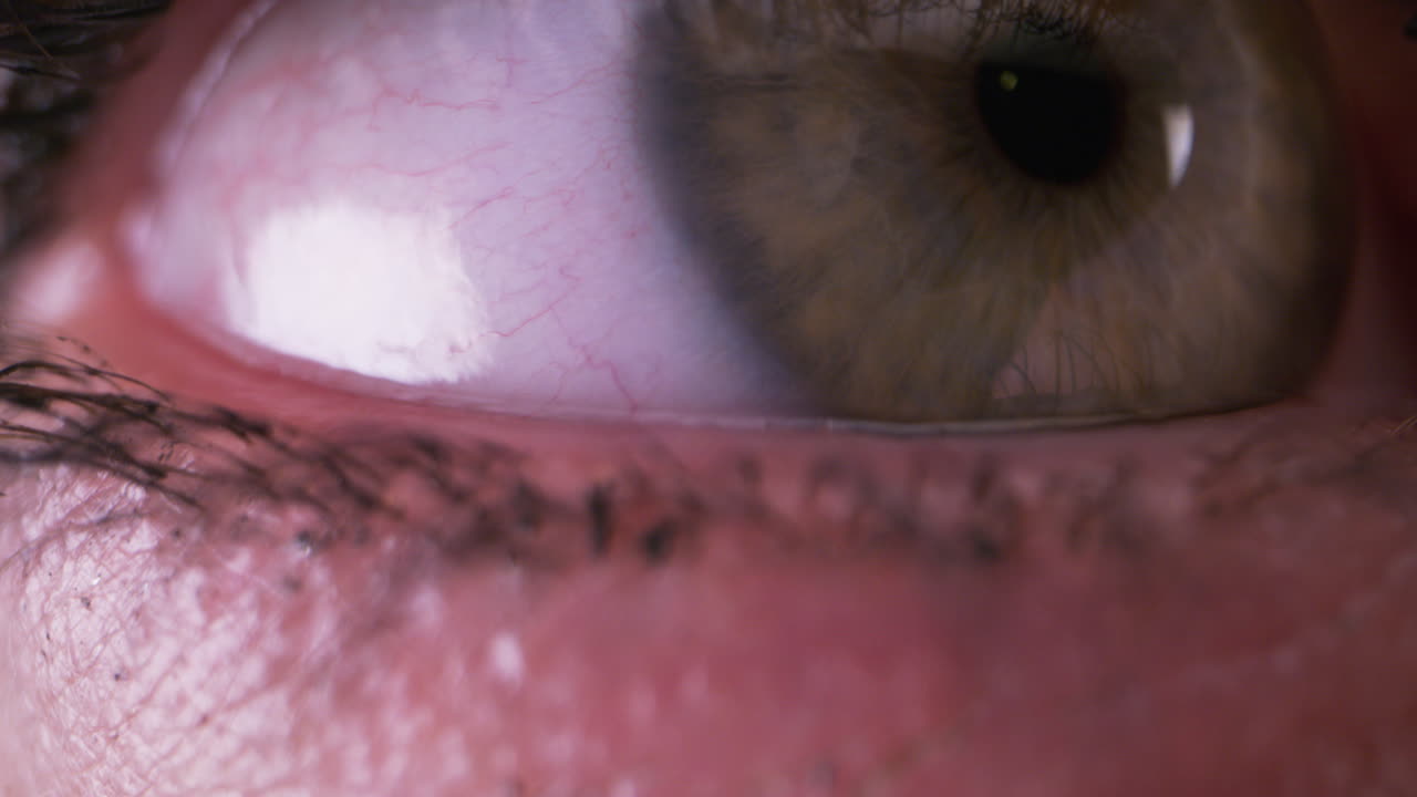 primer plano de un ojo humano