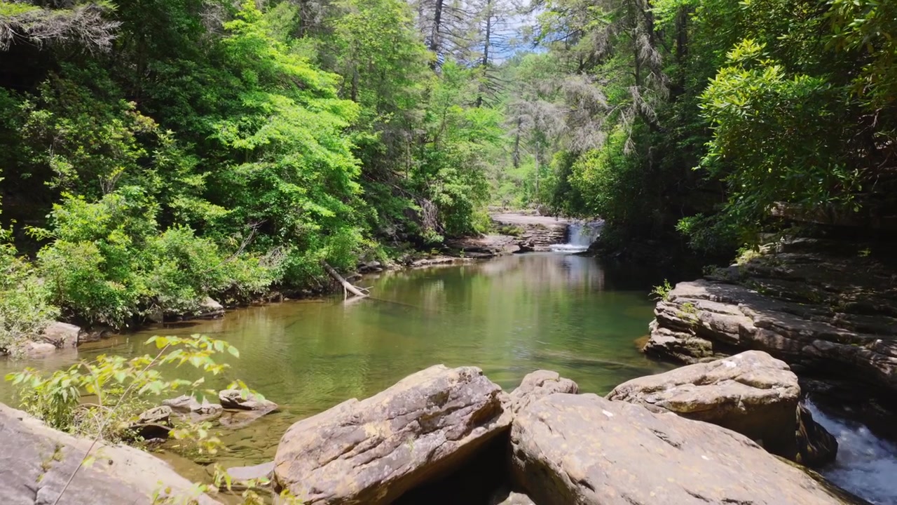 Veduta aerea di un fiume forestale tortuoso a Paradise, Tennessee, che attraversa una fitta foresta verde con sponde rocciose.