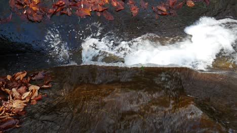 picturesque stream