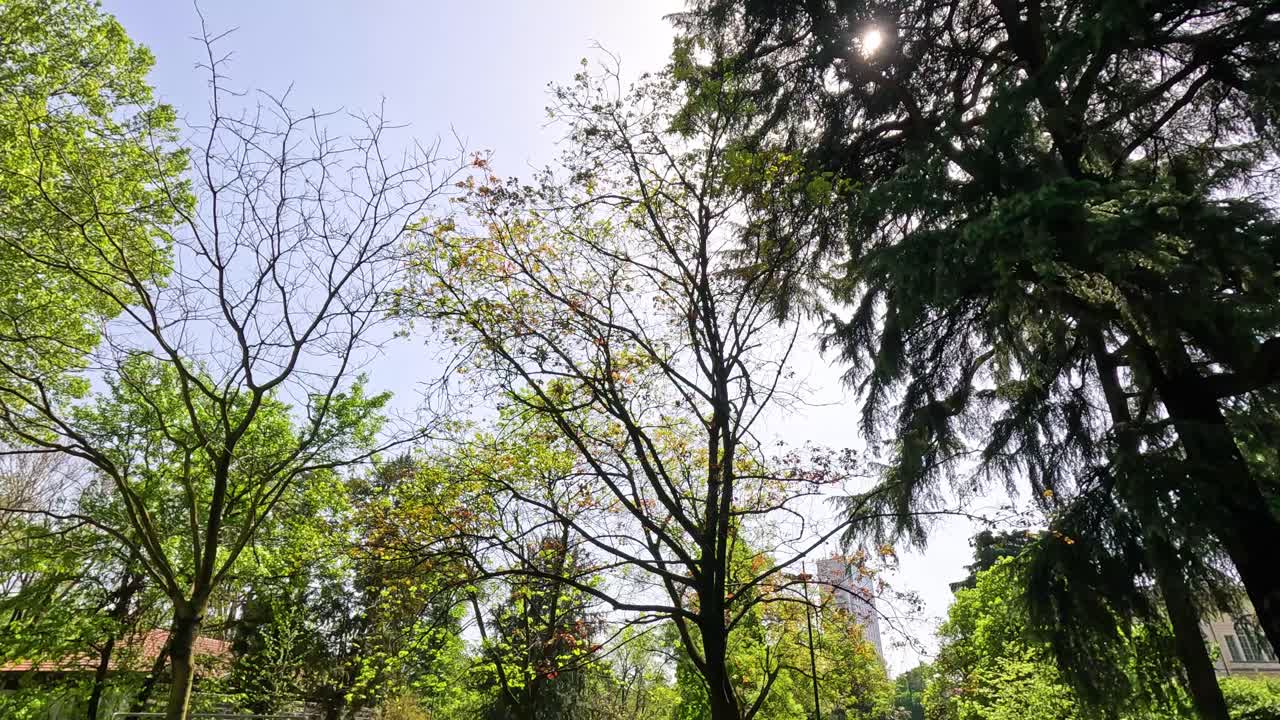 밀라노 공원에서 이 나는 날을 즐기는 사람들