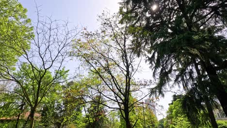 gente disfrutando de un día soleado en el parque de milán