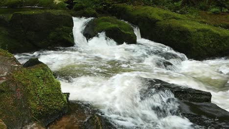 rapids along the river fowey at golitha falls nature reserve