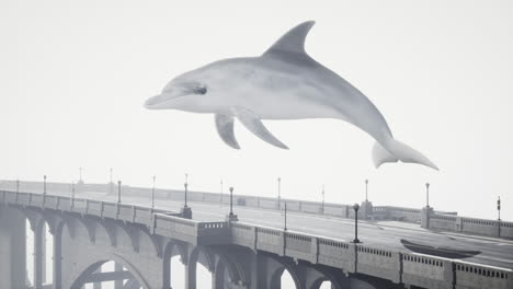 un delfín volando sobre un puente en la niebla