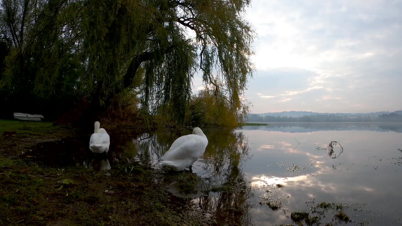 Drone video captures Italy's lush countryside with sprawling fields and distant hills under a bright sky. Scenic, serene, and vibrant, ideal for travel and agriculture themes