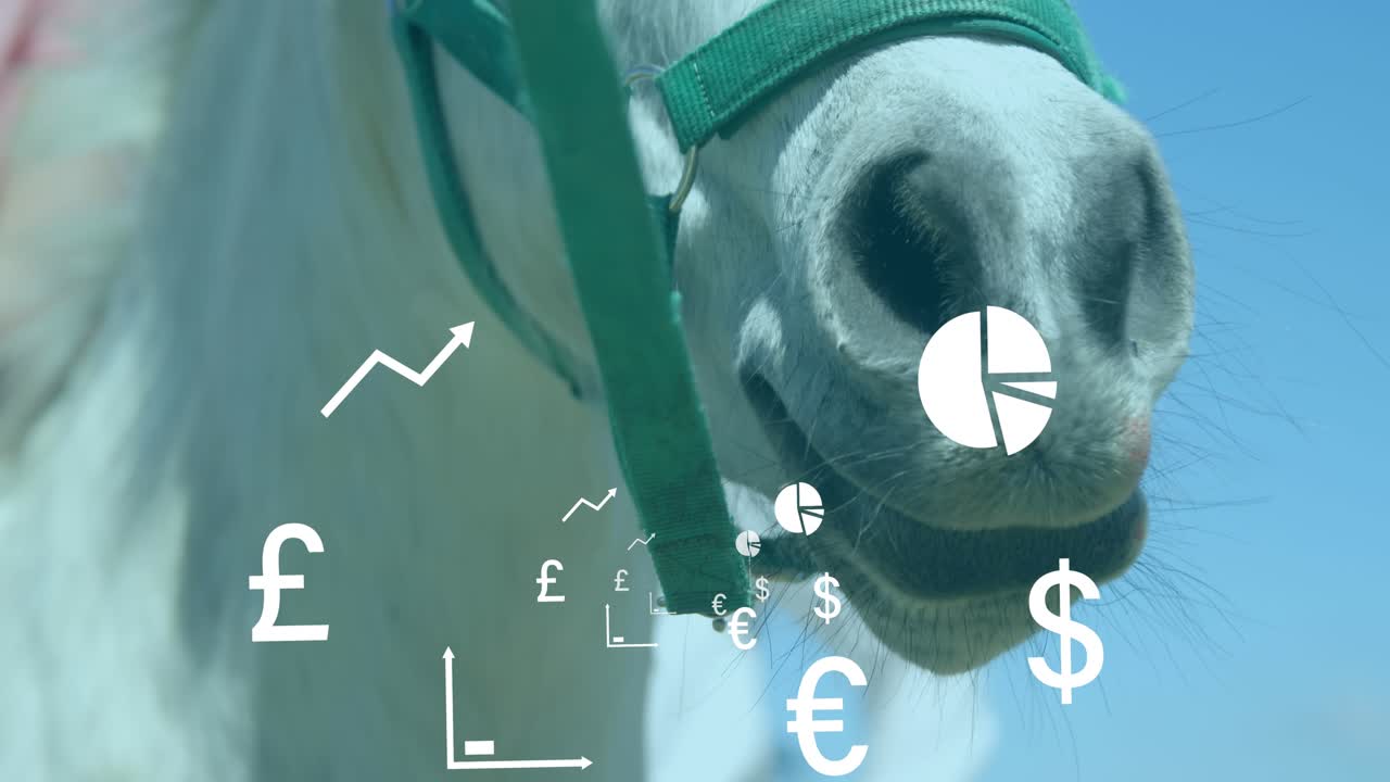 Animazione di diagrammi e simboli di valuta su cavallo.