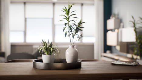 houseplant-with-white-flowerpot-on-wooden-table