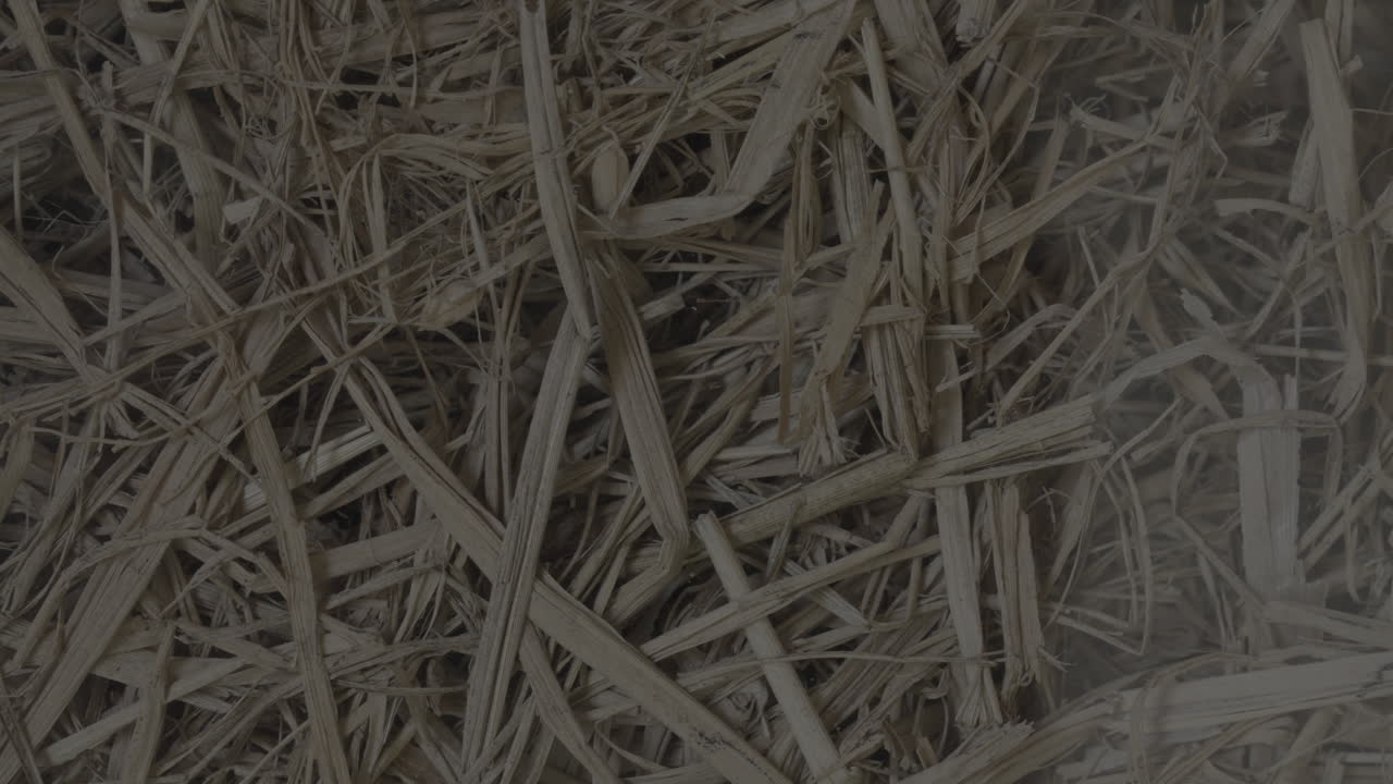 un montón de paja en el campo