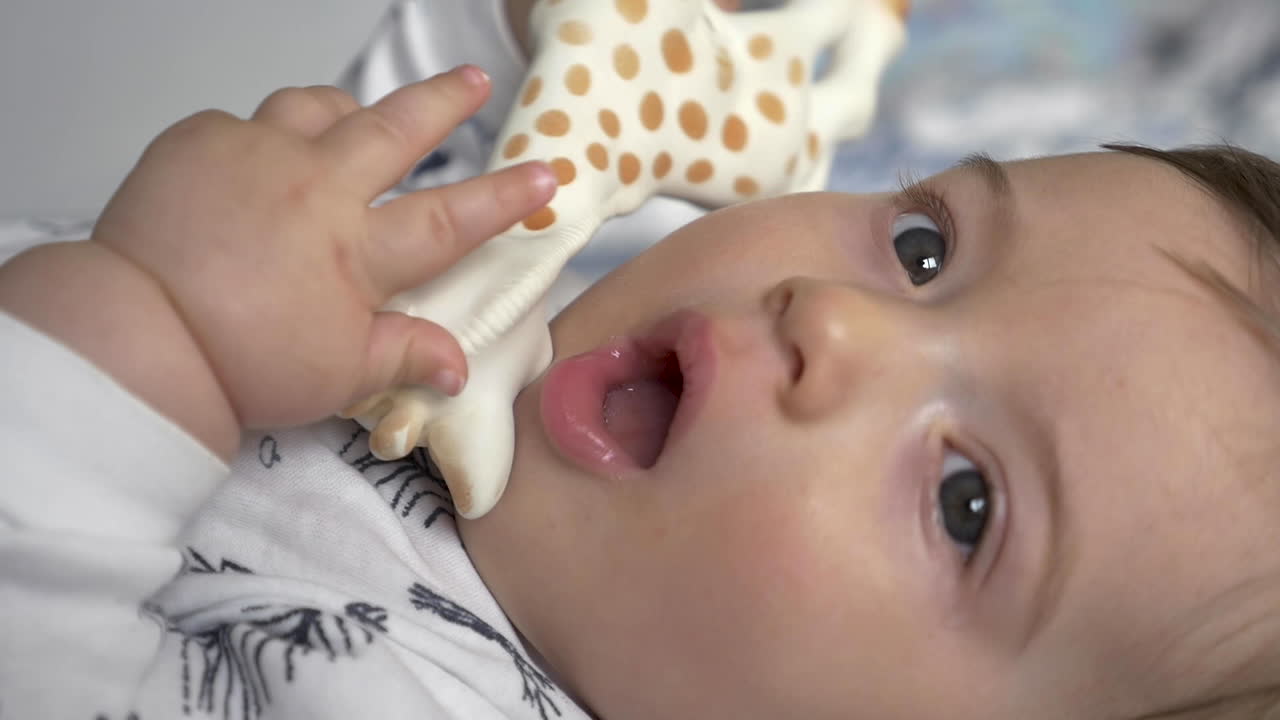 Bebis tuggar på en giraffleksak i gummi och svänger den