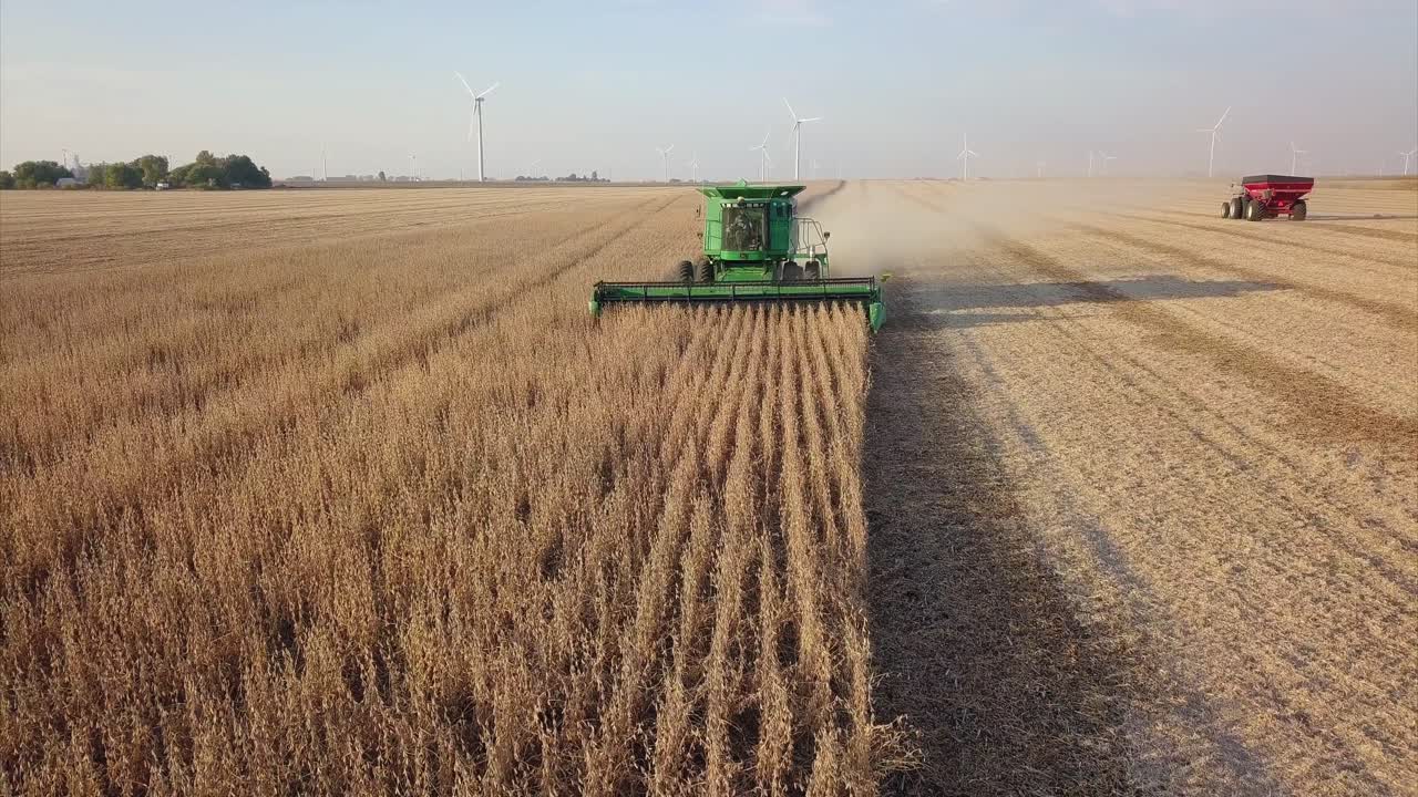 un agricultor del medio oeste cosechando un campo de soja con una cosechadora, un tractor y un vagón de barrena