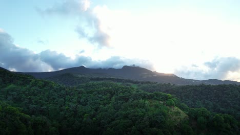 Dichte-Vegetation-Der-Karibischen-Insel-Guadeloupe