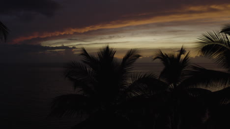 camera lowers behind silhouetted palm trees against a beautiful sunset in the caribbean, ostiones puerto rico