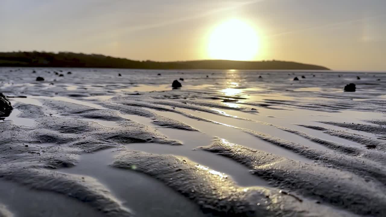 낮은 각도 뷰: 해가 뜨는 동안 모래 위에서 모래 어리와 모래 벌레 위에 모래의 작은 어리 위에서 느린 동작