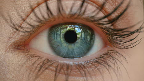 close up macro eye looking human iris sense awareness