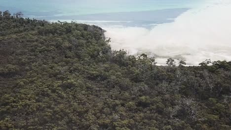 Drohnenaufnahmen-über-Australischem-Wald-In-Richtung-Blauem-Sandstrand