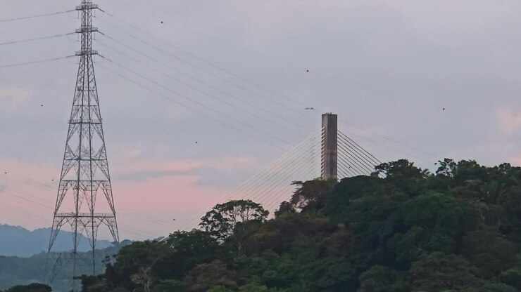 At dusk, the Centennial Bridge's cable-stayed tower rises above the forest in Gamboa, Panama Canal, Panama, spanning the Culebra Cut as birds dot the fading pink sky.