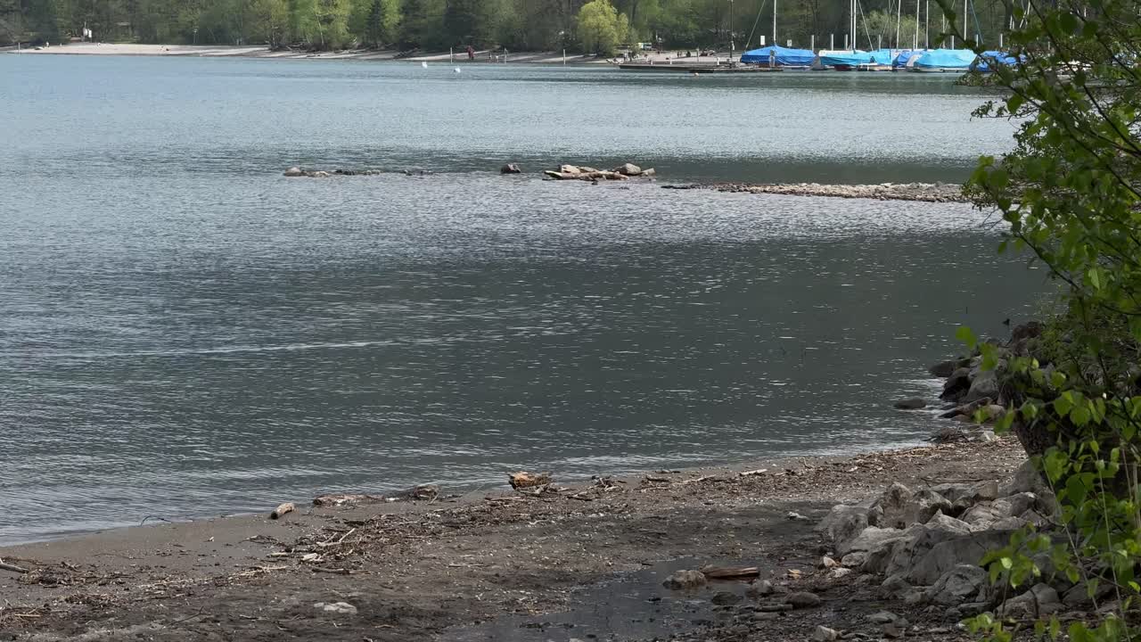 Lake shoreline Walensee Walen Switzerland nature outdoor Europe travel destination