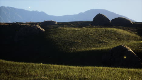 green meadow on the background of the mountains