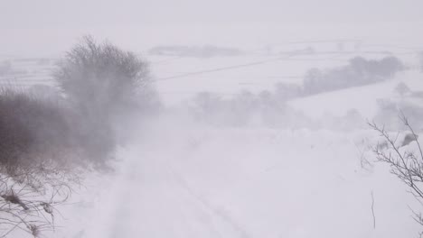 a narrow country road during a severe snow blizzard