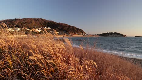 paisaje típico a la orilla de la playa en japón durante la puesta de sol