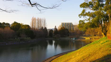 The-beautiful-park-in-Osaka