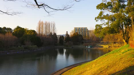 el hermoso parque en osaka