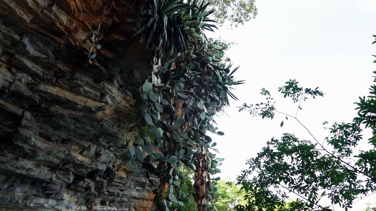tiro inclinado hacia abajo de una gran naranja y