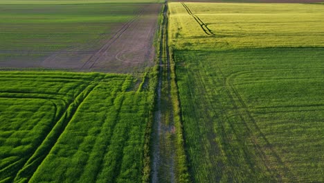 overhead view of a rural road with fields crops on both sides near the town of svitavy