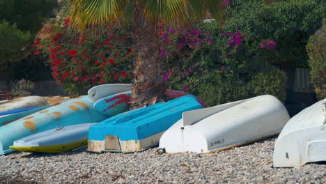 boats-on-Mediterranean-beach-with-flowers