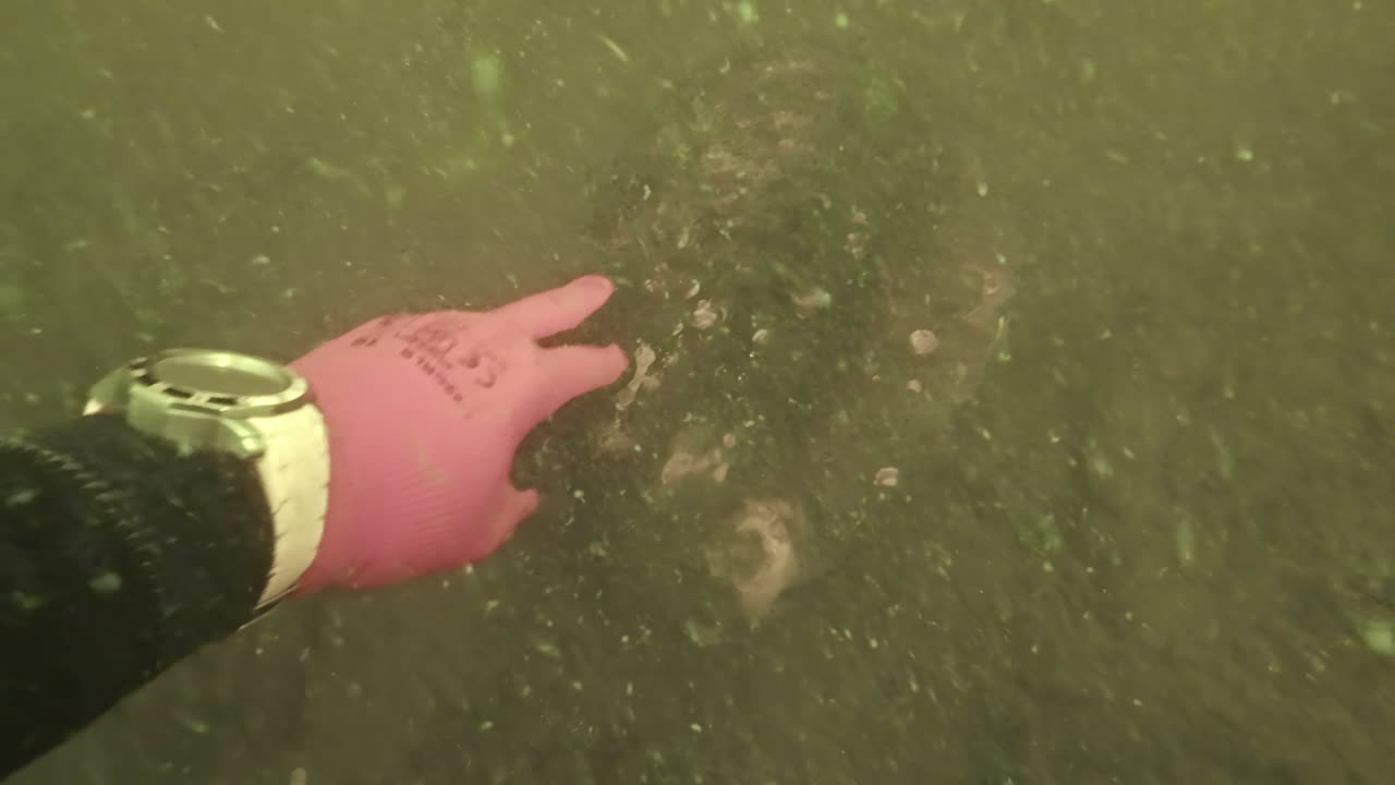 생태 관광 프로젝트 는 스쿠버 다이버 들 을 초대 하여 담수 호수 에서 쓰레기 를 청소 할 것 이다