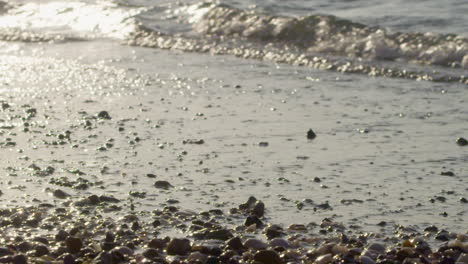 waves with grable of a dominican beach on the sunset