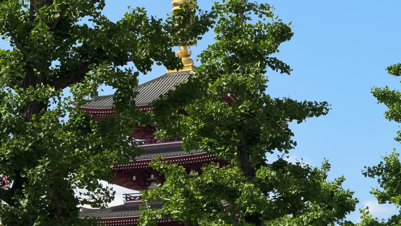 Five-storied pagoda of the Sensō-ji temple in Tokyo, Japan behind tree