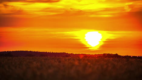 hermosa puesta de sol sobre el horizonte en timelapse