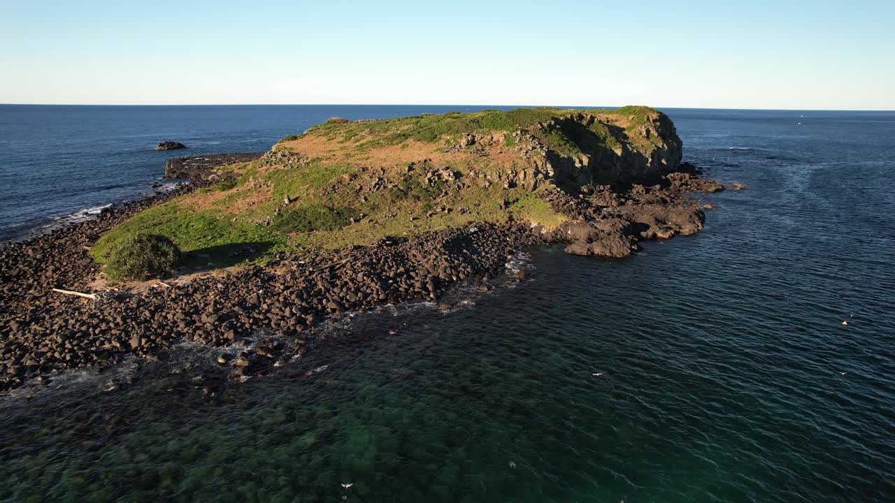 Rocky Shore Of Cook Island (Turtle Island) In NSW, Australia - Drone Shot