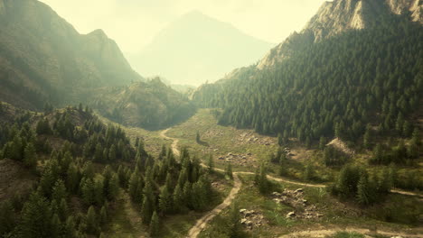 Winding-road-in-the-mountains-with-pine-forest