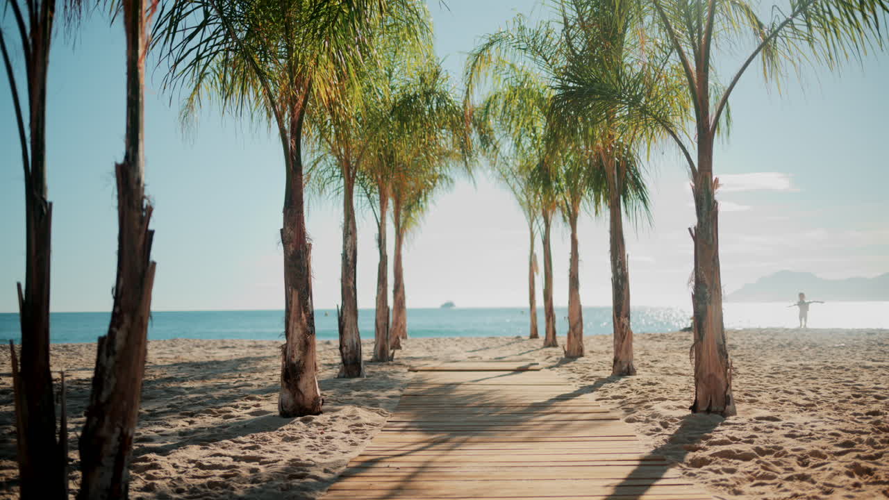 Wooden walkway surrounded by palm trees leading to a sunny beach with clear blue water