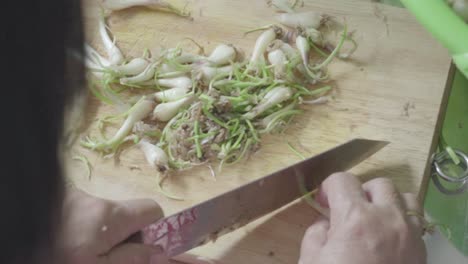 pequeños puerros en escabeche para tet vacaciones 2019