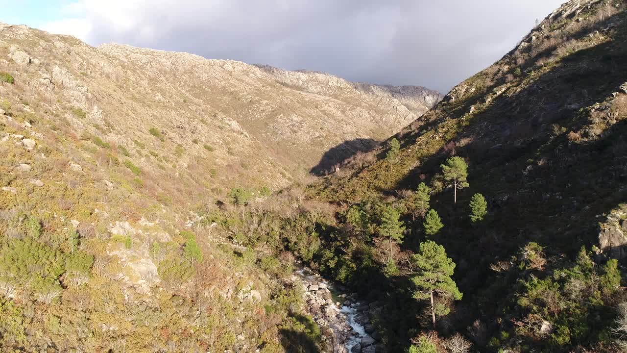 Belo riacho das Montanhas Rochosas cercado por margens musgosas