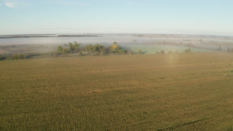 morning light shining on farm fields with thin layer of fog in distance