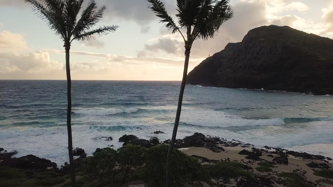 sobrevuelo de cocoteros mientras las olas del océano chocan en la playa de makapuu oahu
