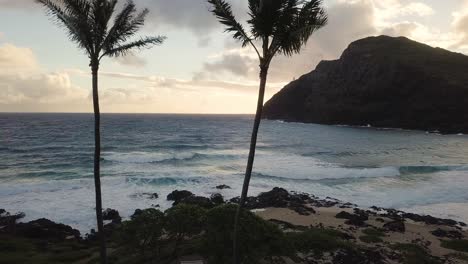 flythrough of coconut trees as ocean waves crash on makapuu beach oahu