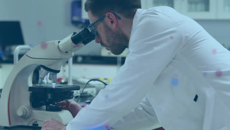 manchas coloridas flotando contra el científico masculino caucásico usando el microscopio en el laboratorio