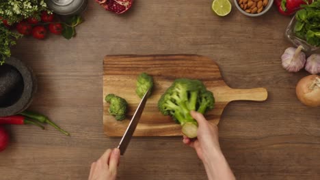 Crop-person-cutting-fresh-broccoli