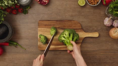 crop person cutting fresh broccoli