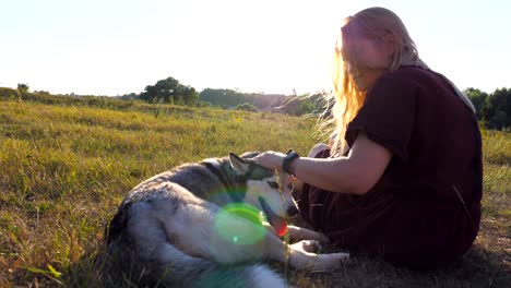 dolly shot of beautiful girl sitting on green grass at field and stroking her siberian husky dog on sunset. young woman with blonde hair spending time together with her pet at meadow. close up