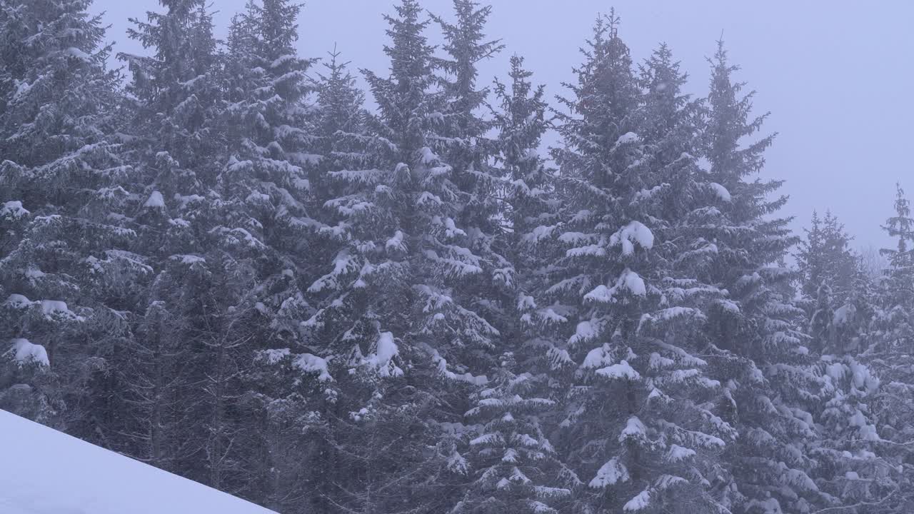 vista escénica de invierno del bosque de pinos cubierto de nieve en una montaña alta