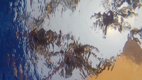 Palm-trees-viewed-from-inside-a-pool-under-the-water-ripples---Slow-Motion